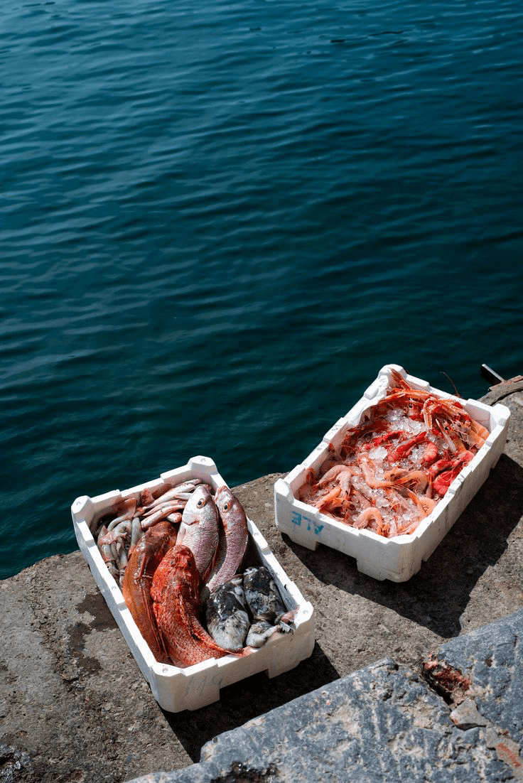 Kotak ikan dan seafood segar di tepi laut
